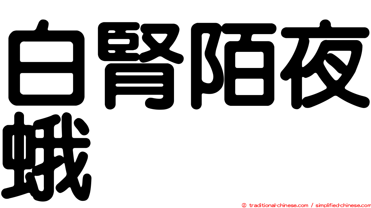 白腎陌夜蛾