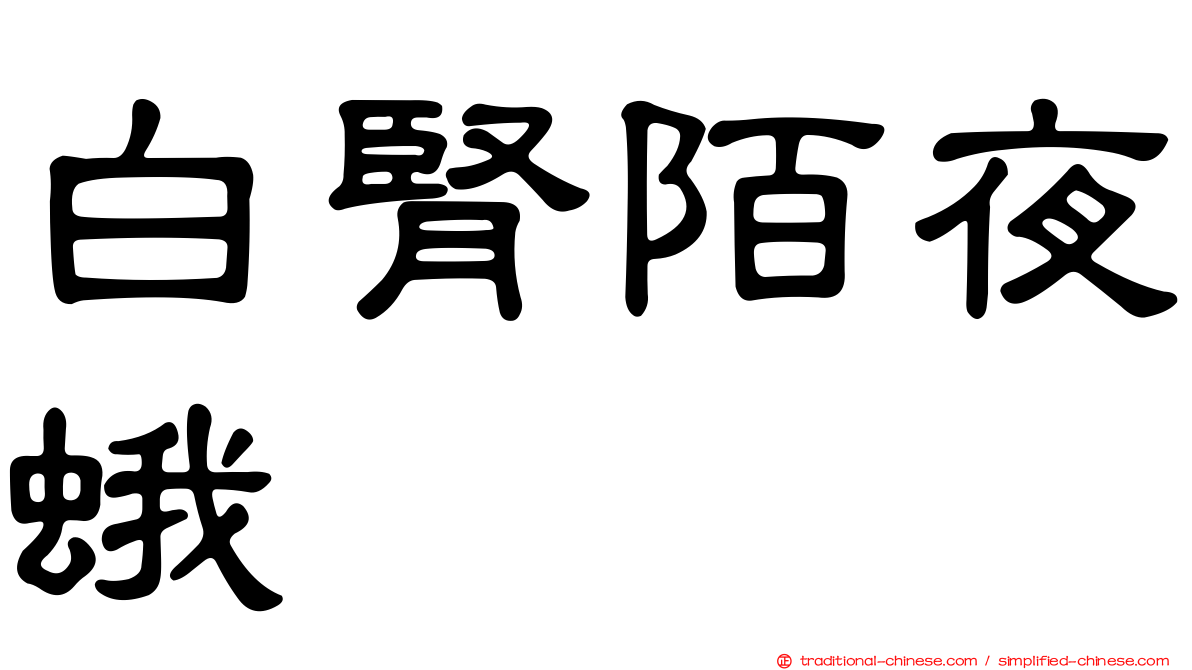 白腎陌夜蛾
