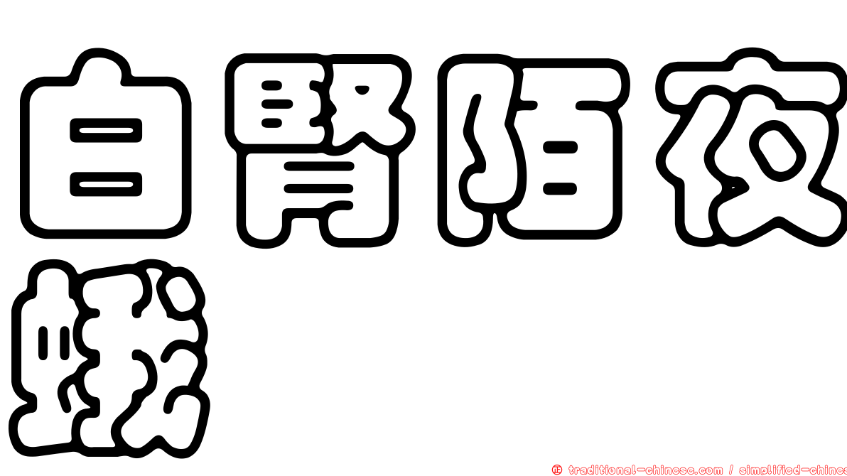 白腎陌夜蛾