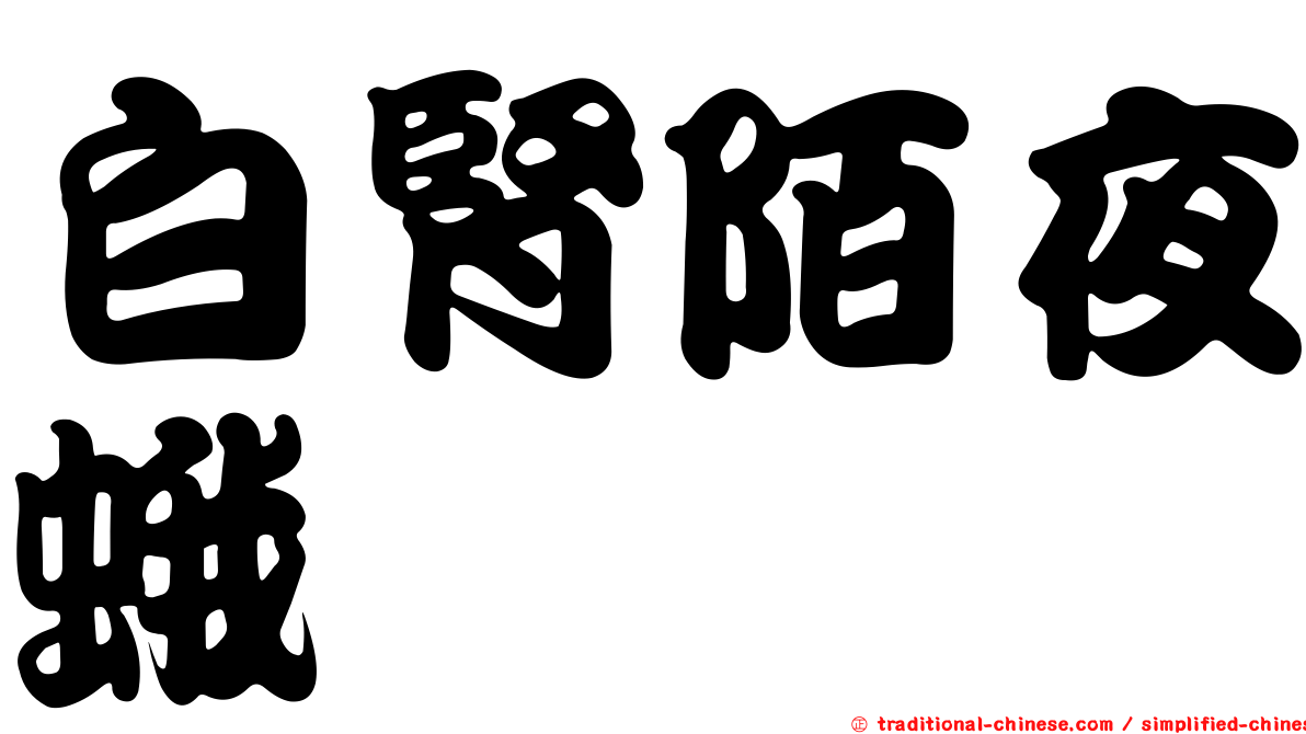 白腎陌夜蛾