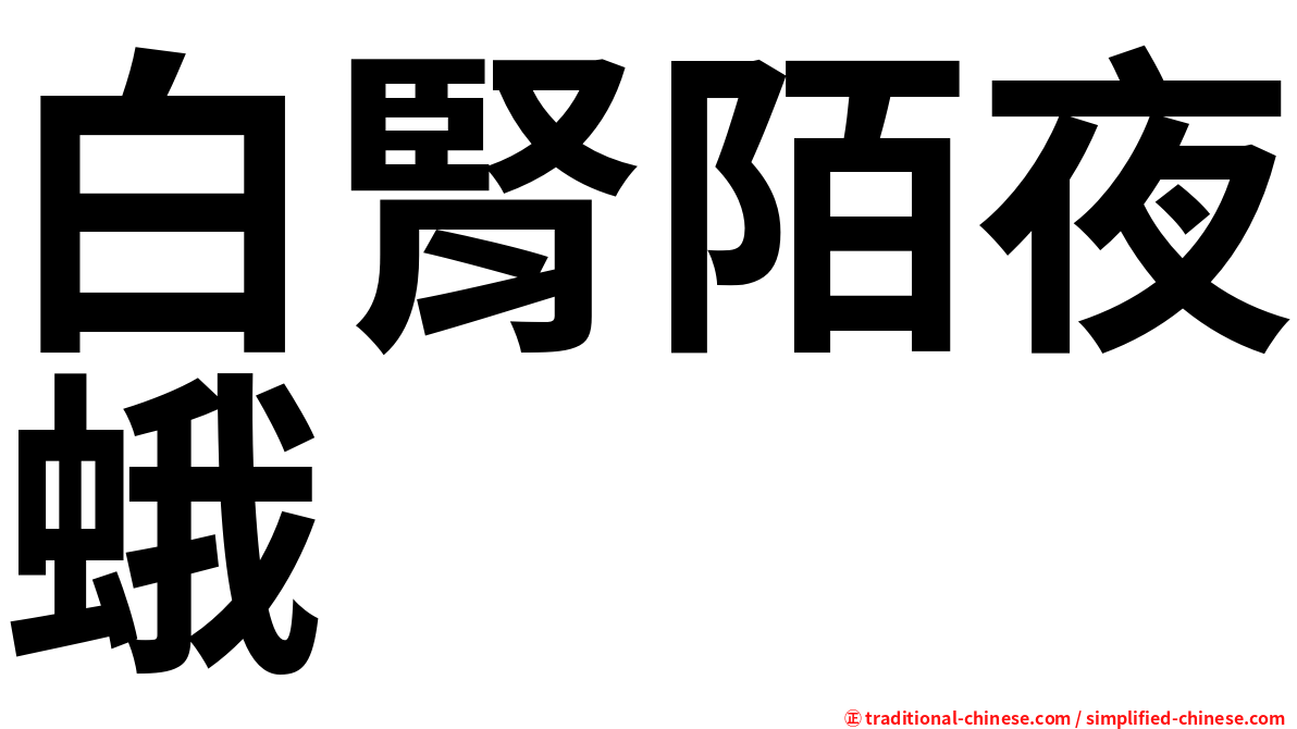 白腎陌夜蛾