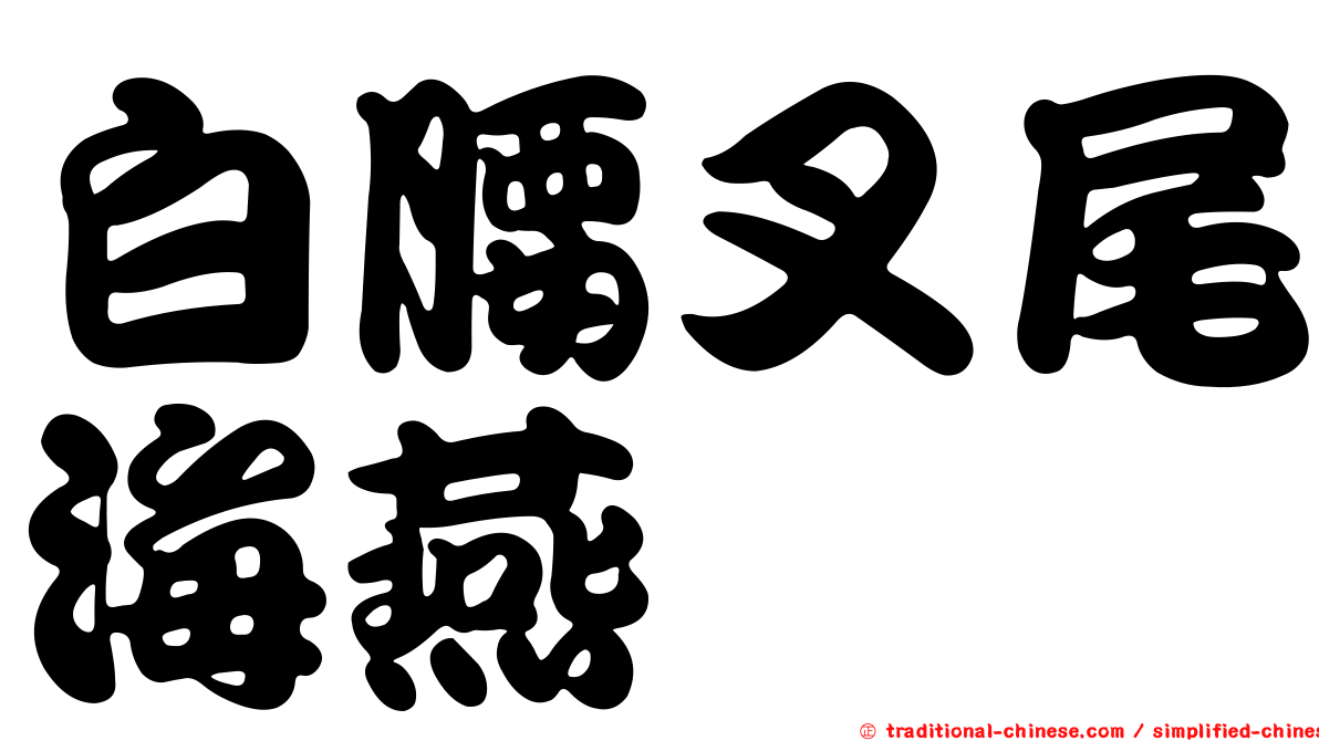 白腰叉尾海燕