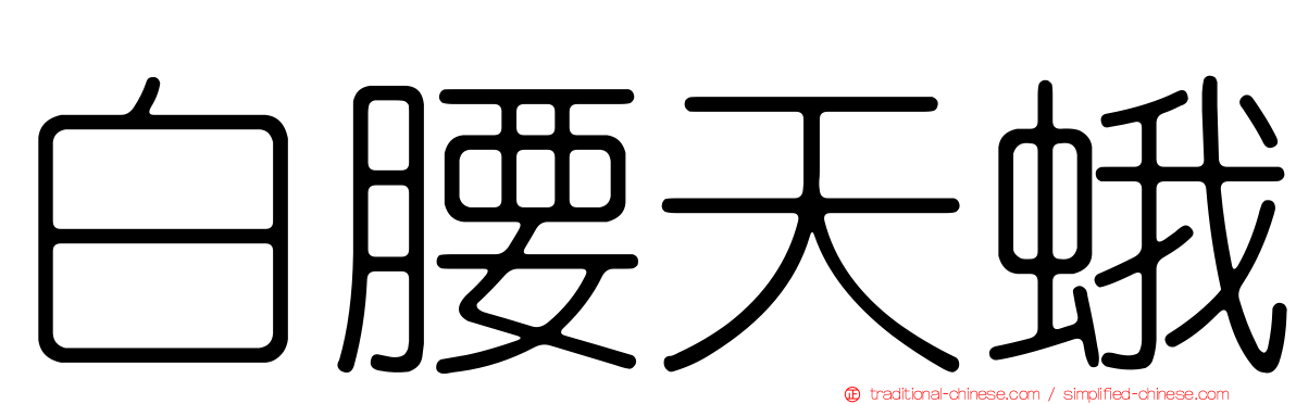 白腰天蛾