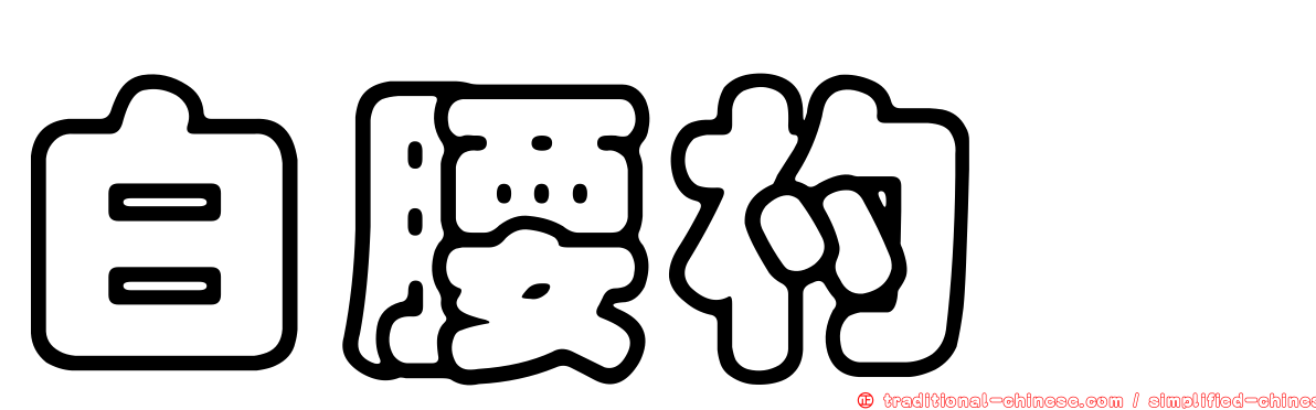 白腰杓鷸