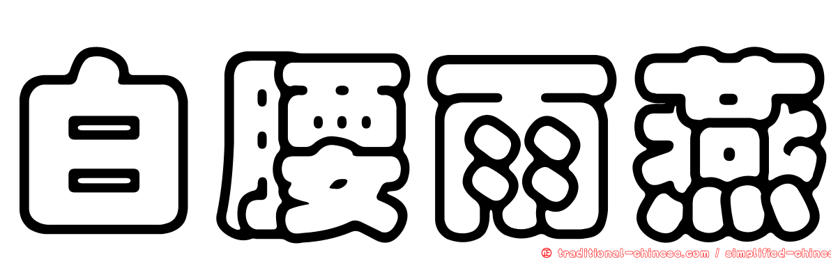 白腰雨燕