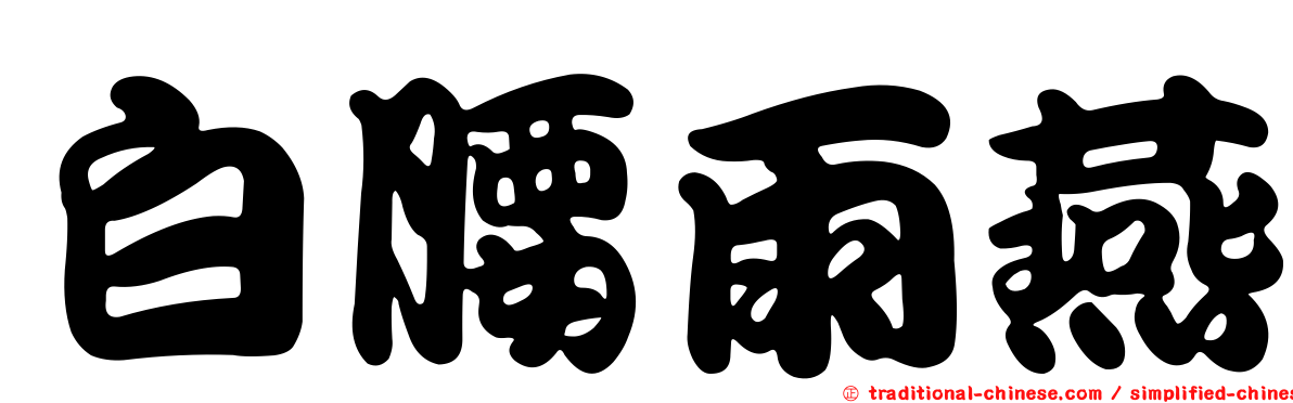 白腰雨燕
