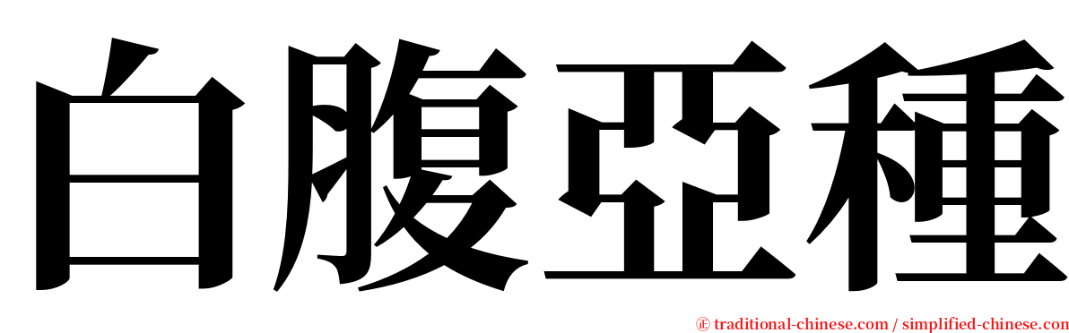 白腹亞種 serif font