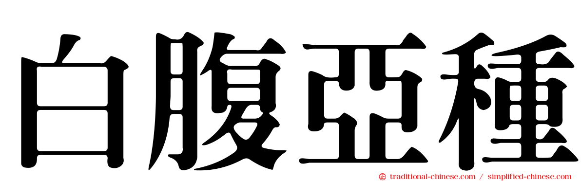 白腹亞種
