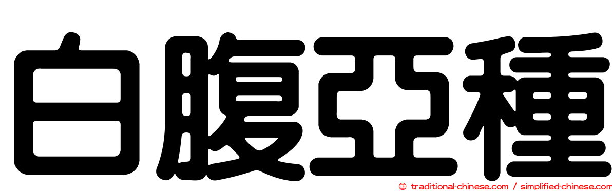 白腹亞種