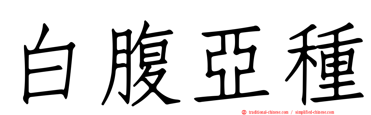 白腹亞種