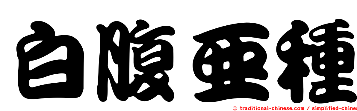 白腹亞種