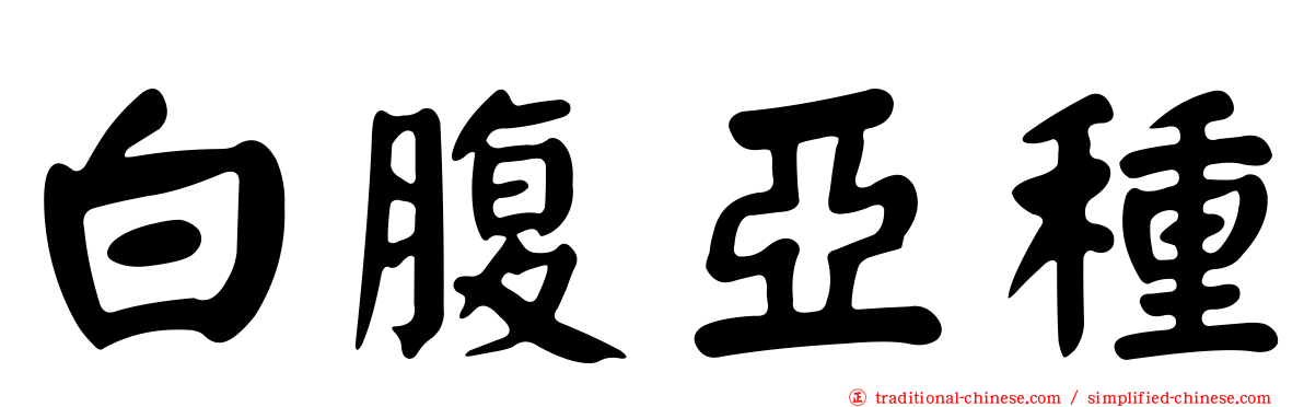 白腹亞種