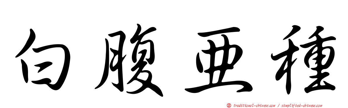 白腹亞種