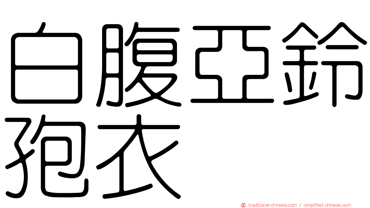 白腹亞鈴孢衣