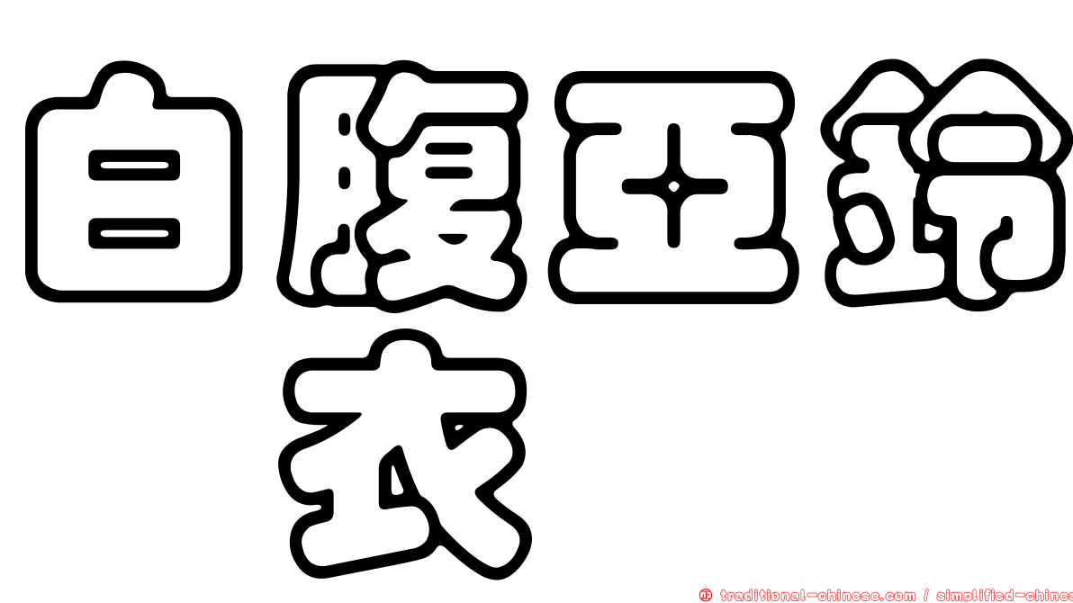 白腹亞鈴孢衣