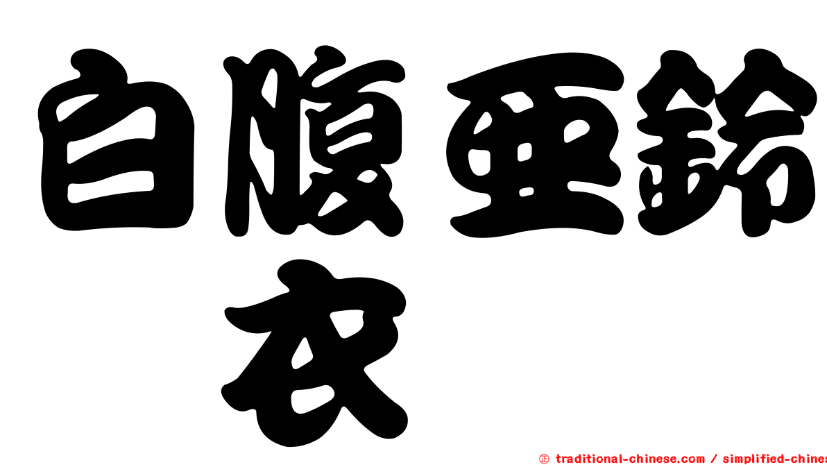 白腹亞鈴孢衣