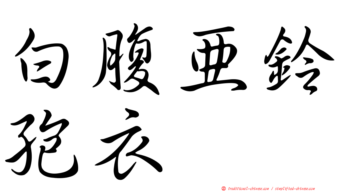 白腹亞鈴孢衣