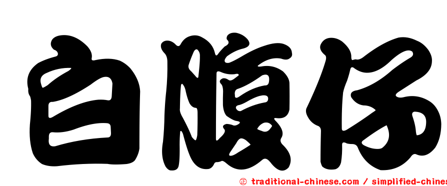 白腹仔