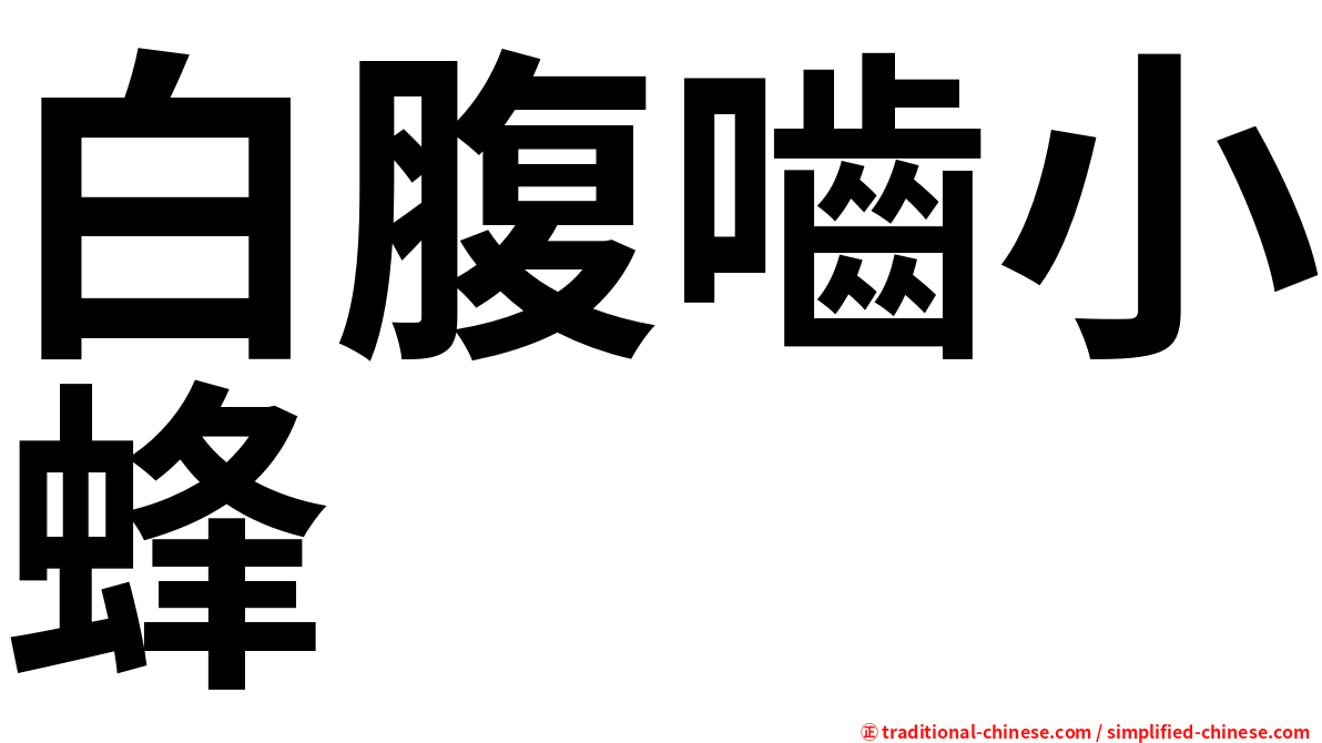 白腹嚙小蜂
