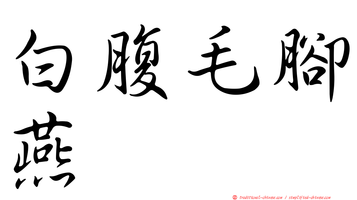 白腹毛腳燕