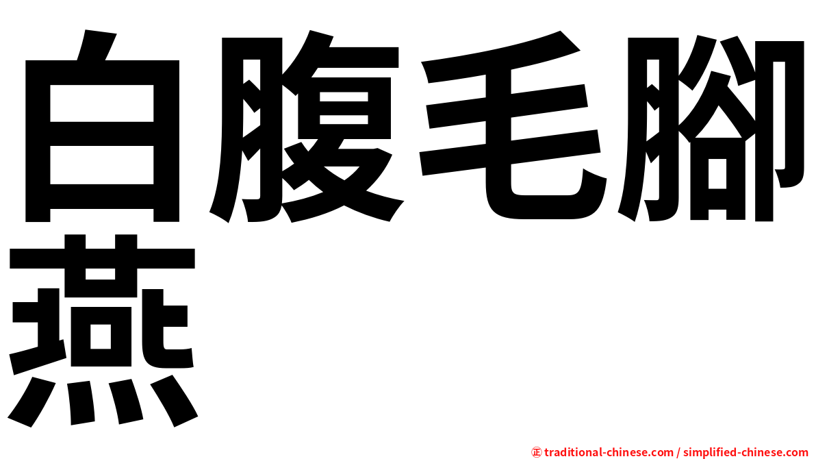白腹毛腳燕
