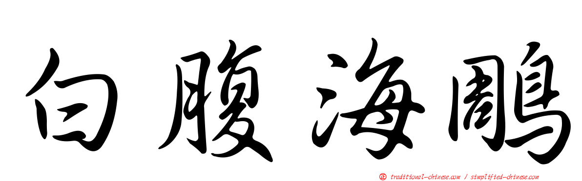 白腹海鵰