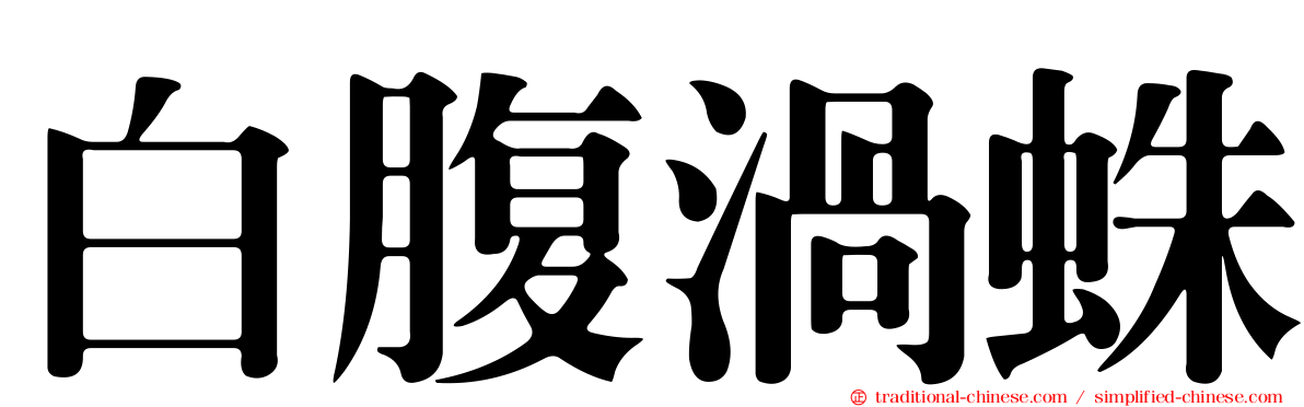 白腹渦蛛