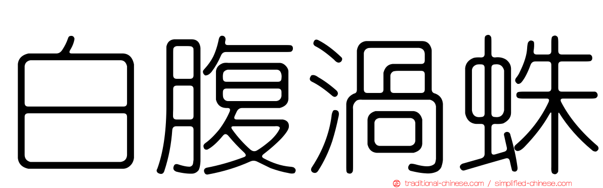 白腹渦蛛