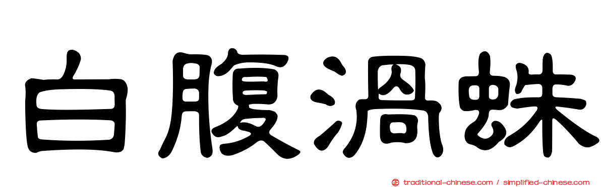 白腹渦蛛