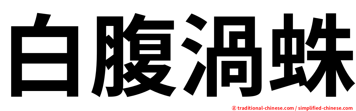 白腹渦蛛