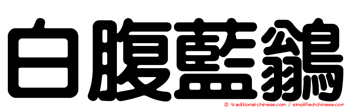 白腹藍鶲