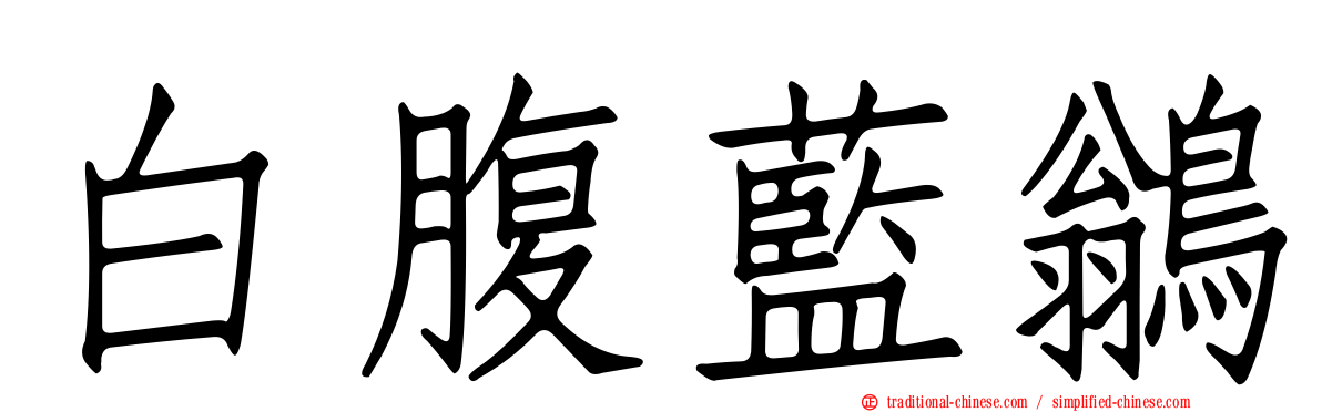 白腹藍鶲