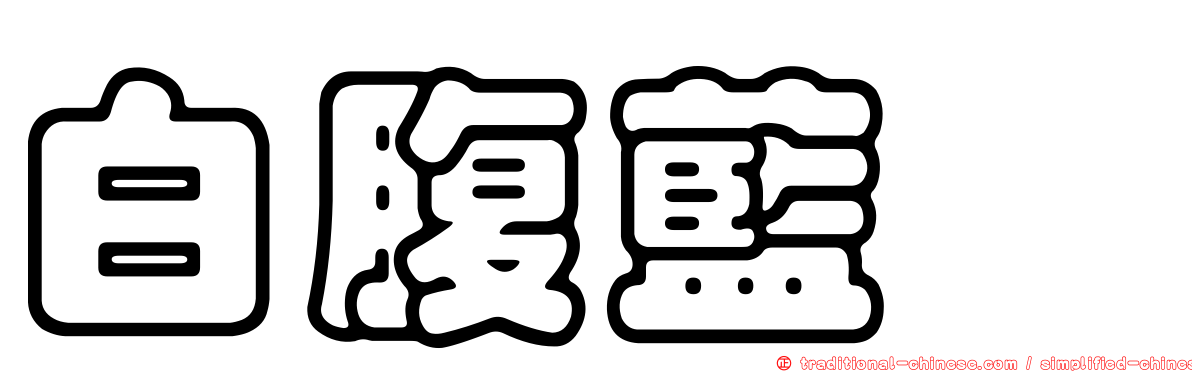 白腹藍鶲