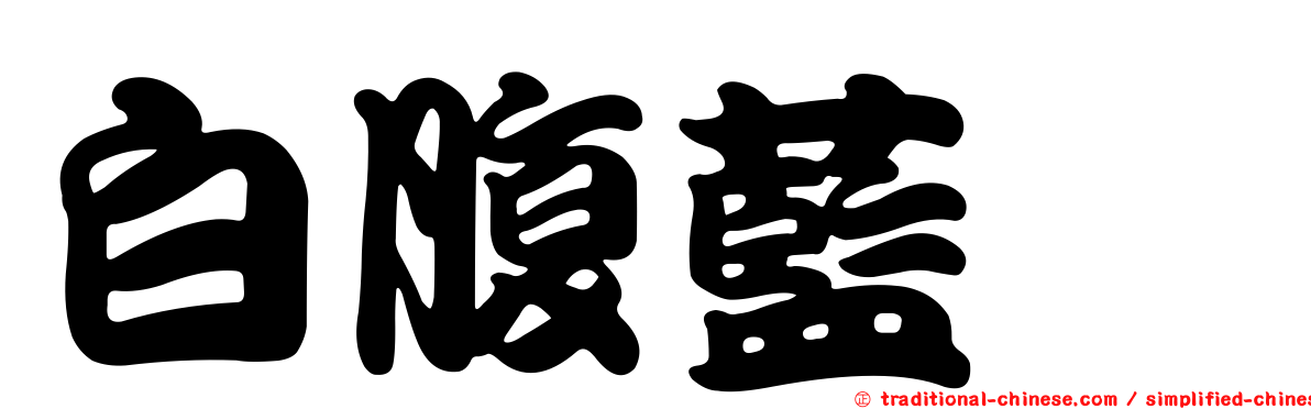 白腹藍鶲