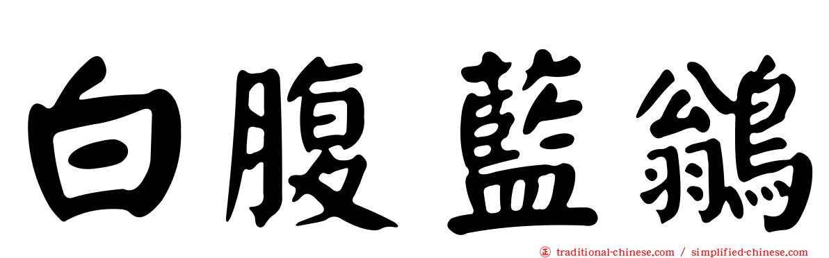 白腹藍鶲