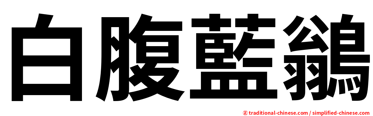 白腹藍鶲