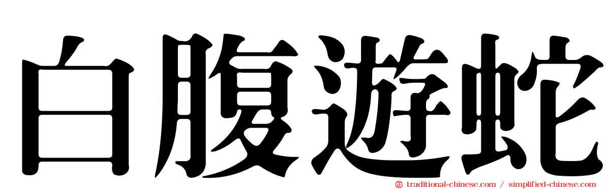 白腹遊蛇