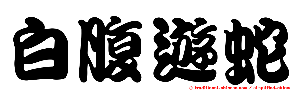 白腹遊蛇