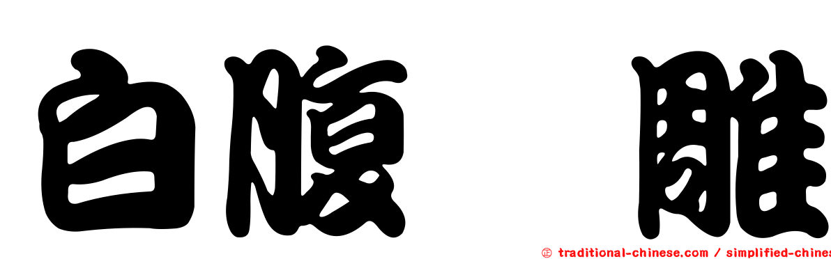 白腹隼雕