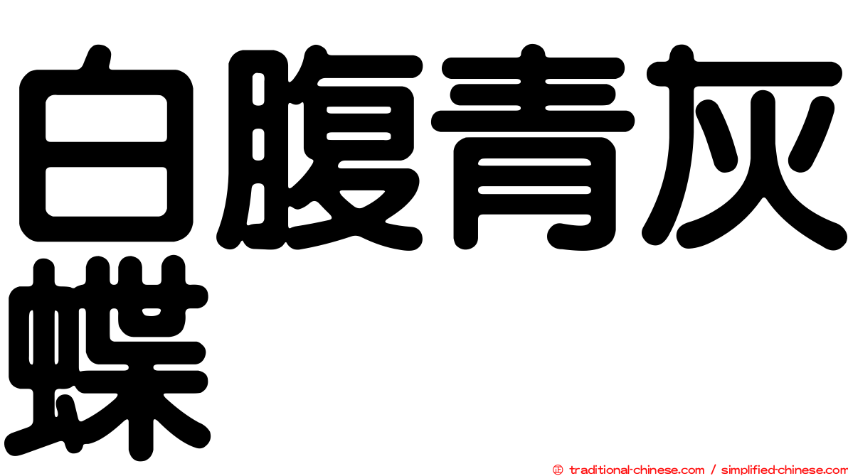 白腹青灰蝶