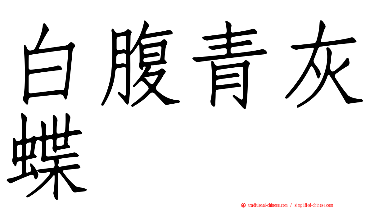 白腹青灰蝶