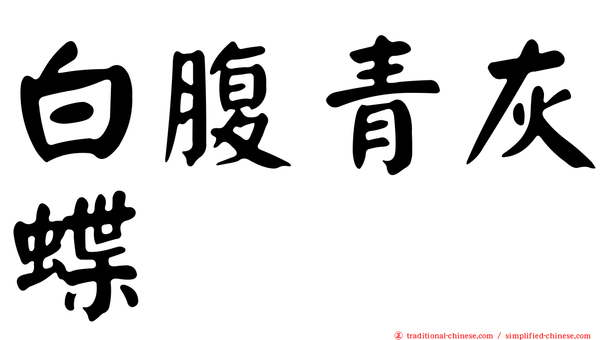 白腹青灰蝶