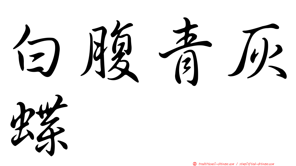 白腹青灰蝶