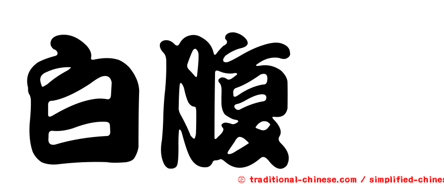 白腹鵰