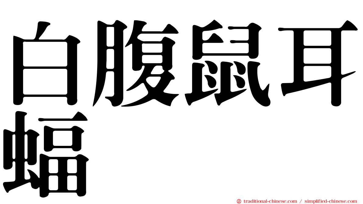 白腹鼠耳蝠