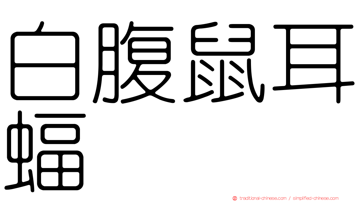 白腹鼠耳蝠
