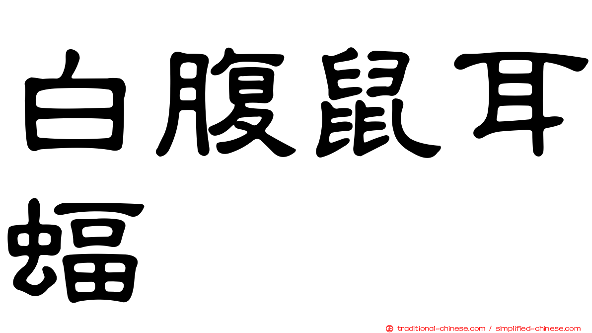 白腹鼠耳蝠