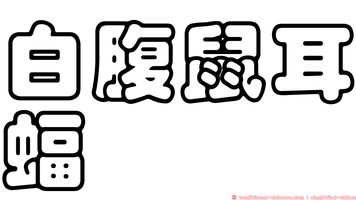 白腹鼠耳蝠