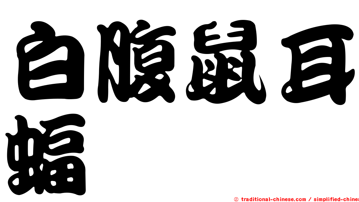 白腹鼠耳蝠