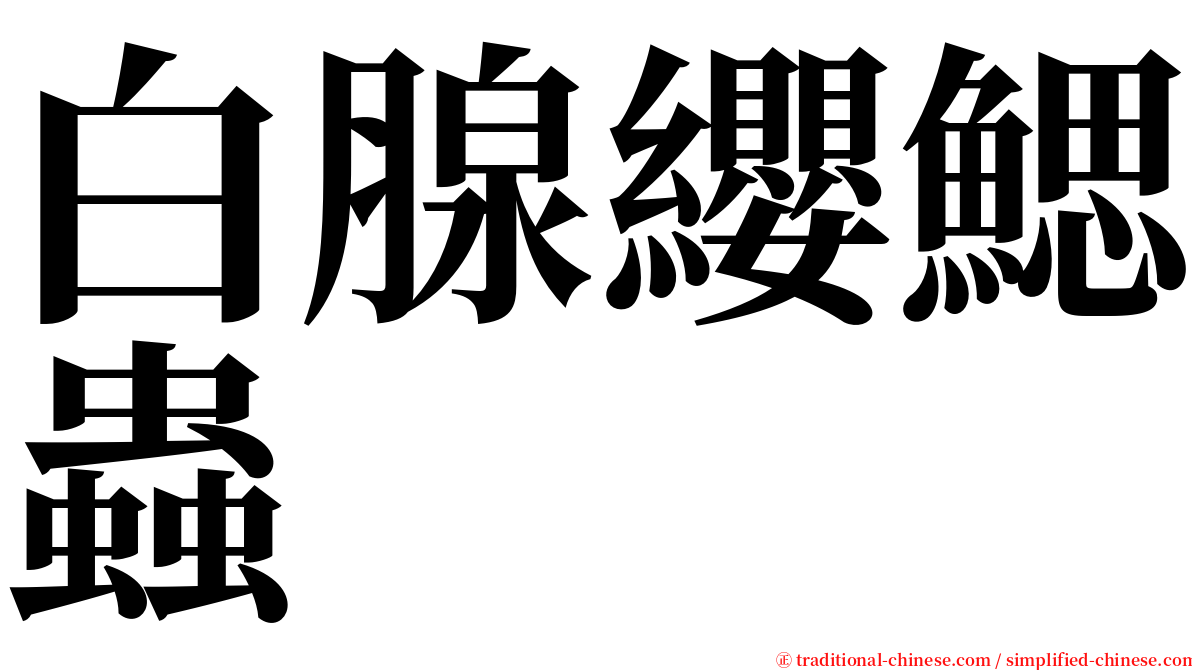 白腺纓鰓蟲 serif font